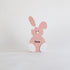 Best Little Bunny